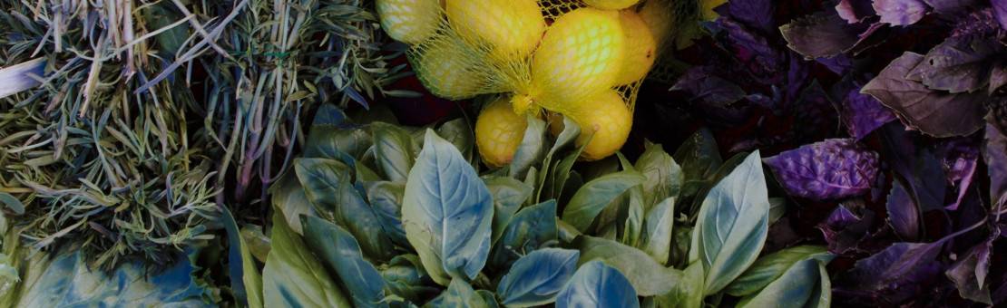 INFUSIONES A GRANEL 